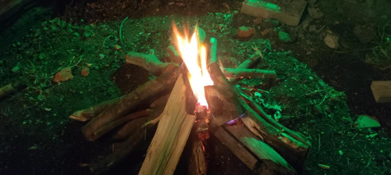 Roma House V- Campin Movistar El Cubo Homestay